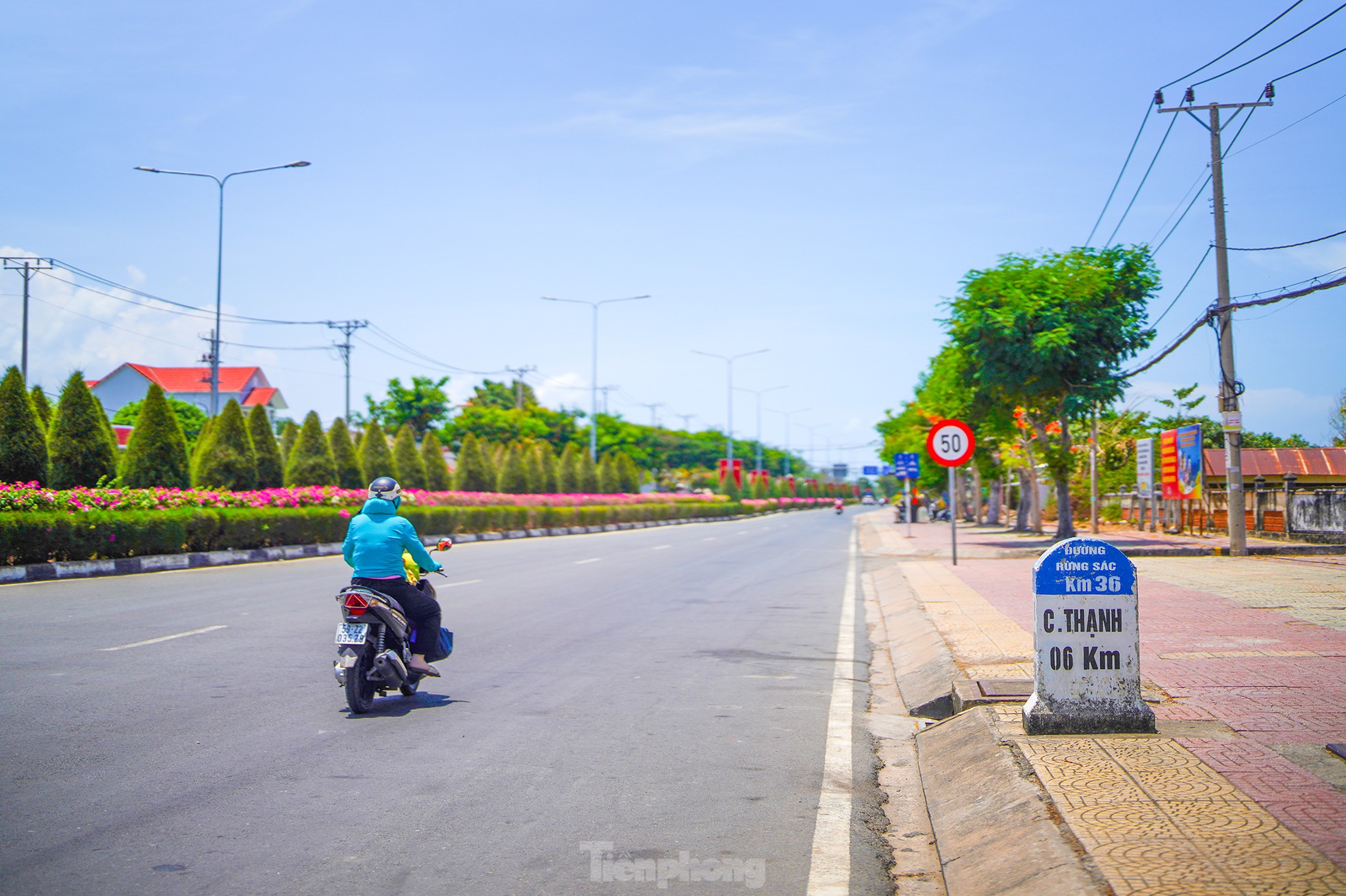 Tuyến đường độc đạo xuyên rừng đẹp như tranh ở TPHCM- Ảnh 3.