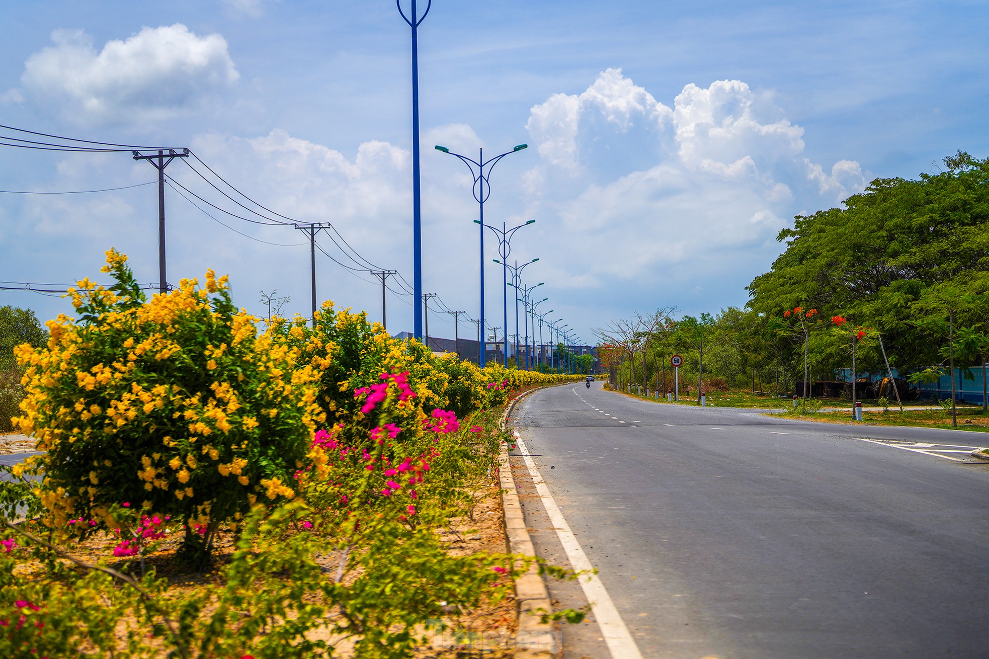 Tuyến đường độc đạo xuyên rừng đẹp như tranh ở TPHCM- Ảnh 10.