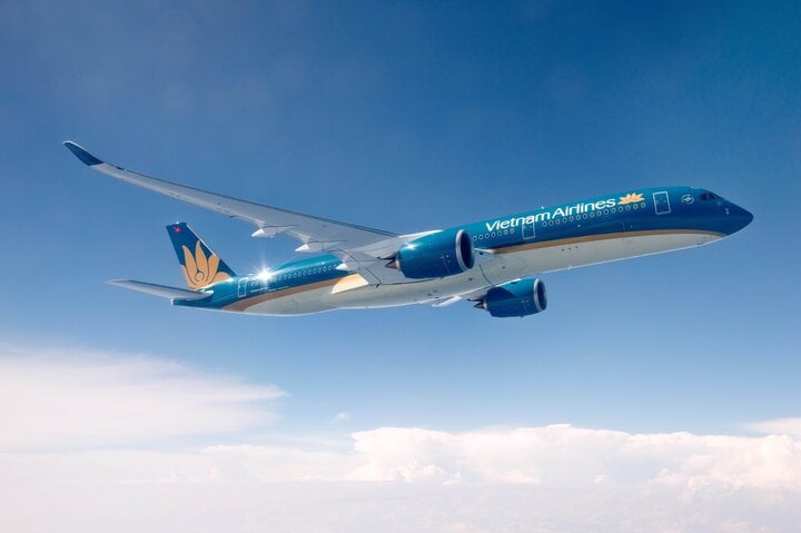 Đề xuất gia hạn khoản nợ 4.000 tỷ đồng gỡ khó cho Vietnam Airlines- Ảnh 1.