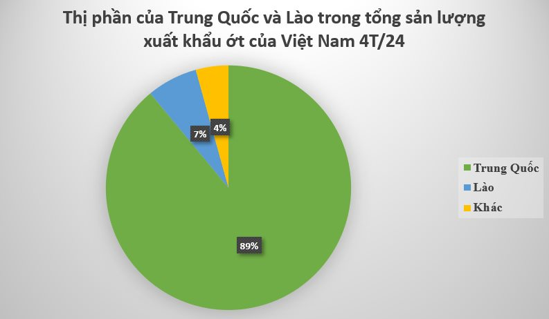 Loại quả 'nhỏ nhưng có võ' của Việt Nam được Trung Quốc ồ ạt thu mua: Nhu cầu toàn cầu lên đến 4.000 tấn, nước ta là ‘ông trùm’ thứ 2 thế giới- Ảnh 2.