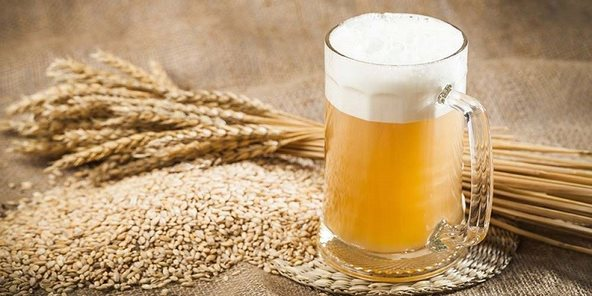 Doanh nghiệp đầu tiên sản xuất malt bia tại Việt Nam báo lỗ năm thứ 4 liên tiếp- Ảnh 1.
