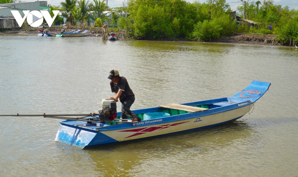 Giăng câu không cần mồi, bắt đủ thứ tôm cá ở Cà Mau- Ảnh 4.