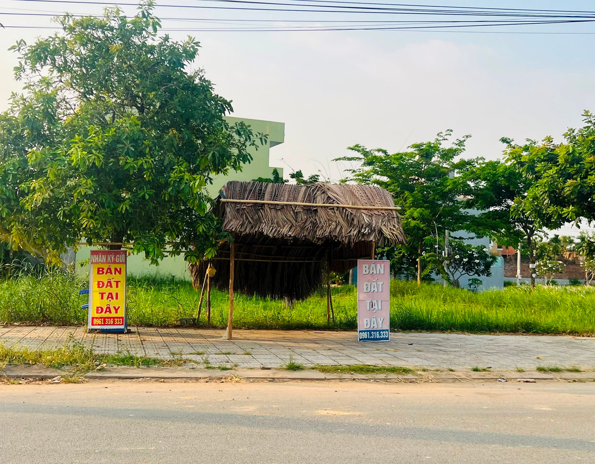 Chuyên gia bất ngờ chỉ ra phân khúc bất động sản nên bỏ tiền vào trước quý 3/2024- Ảnh 1.