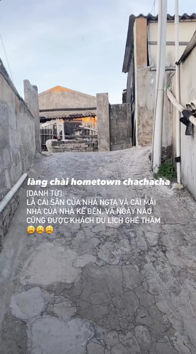Sự thật bất ngờ về làng chài "Hometown Cha-Cha-Cha phiên bản Việt" ở đảo Phú Quý: Vừa buồn cười lại vừa dễ thương!
