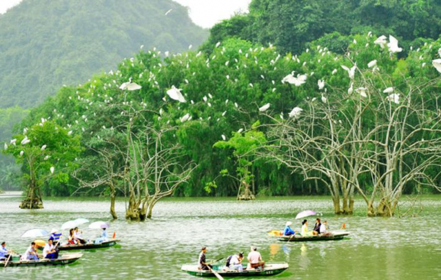 Phát hiện điểm du lịch sông nước độc lạ tại thành phố biển, du khách ca ngợi như một “miền Tây thu nhỏ