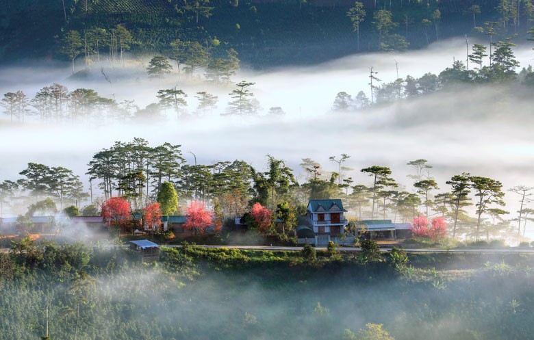 Phát hiện ngôi làng ẩn mình trong sương, là bối cảnh phim của nhà sản xuất Việt nghìn tỷ, ngay gần Đà Lạt- Ảnh 18.