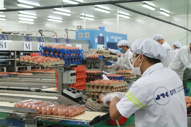 Ngân hàng đại hạ giá nhà máy sản xuất trứng gà sạch của ĐTK Phú Thọ- Ảnh 1.
