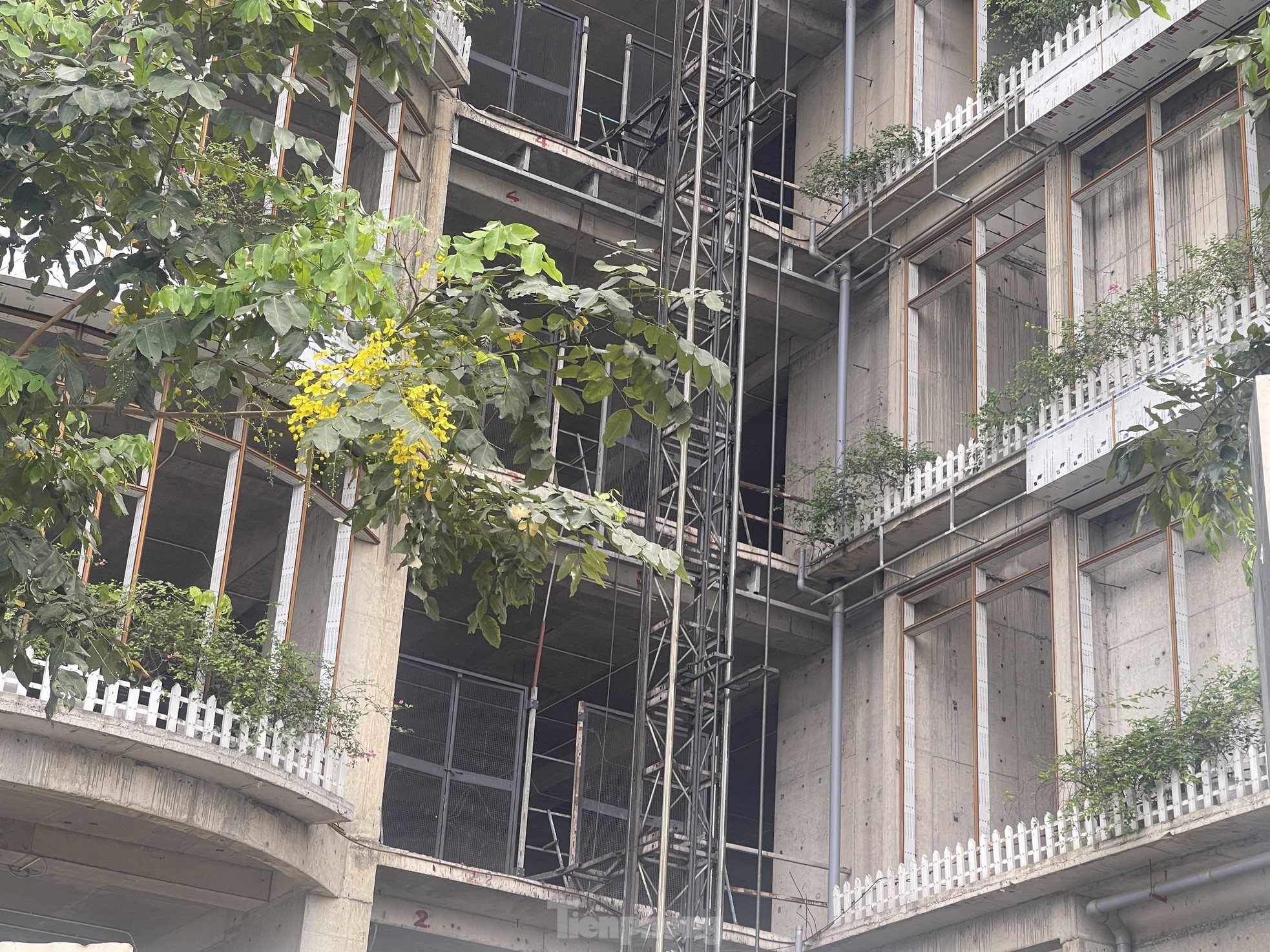 Động thái loạt dự án chung cư ở Hà Nội sau thời gian dài bỏ hoang, quây tôn- Ảnh 2.