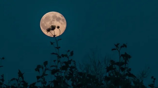 Ngắm 'Trăng hoa', trăng tròn gần một ngôi sao siêu khổng lồ đỏ- Ảnh 1.