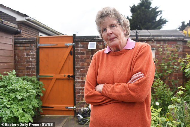 Bà lão 70 tuổi báo cảnh sát chuyện đám trẻ hư phá cổng nhà, nào ngờ bị cảnh cáo vì lời đe dọa hơi "ngầu"- Ảnh 1.
