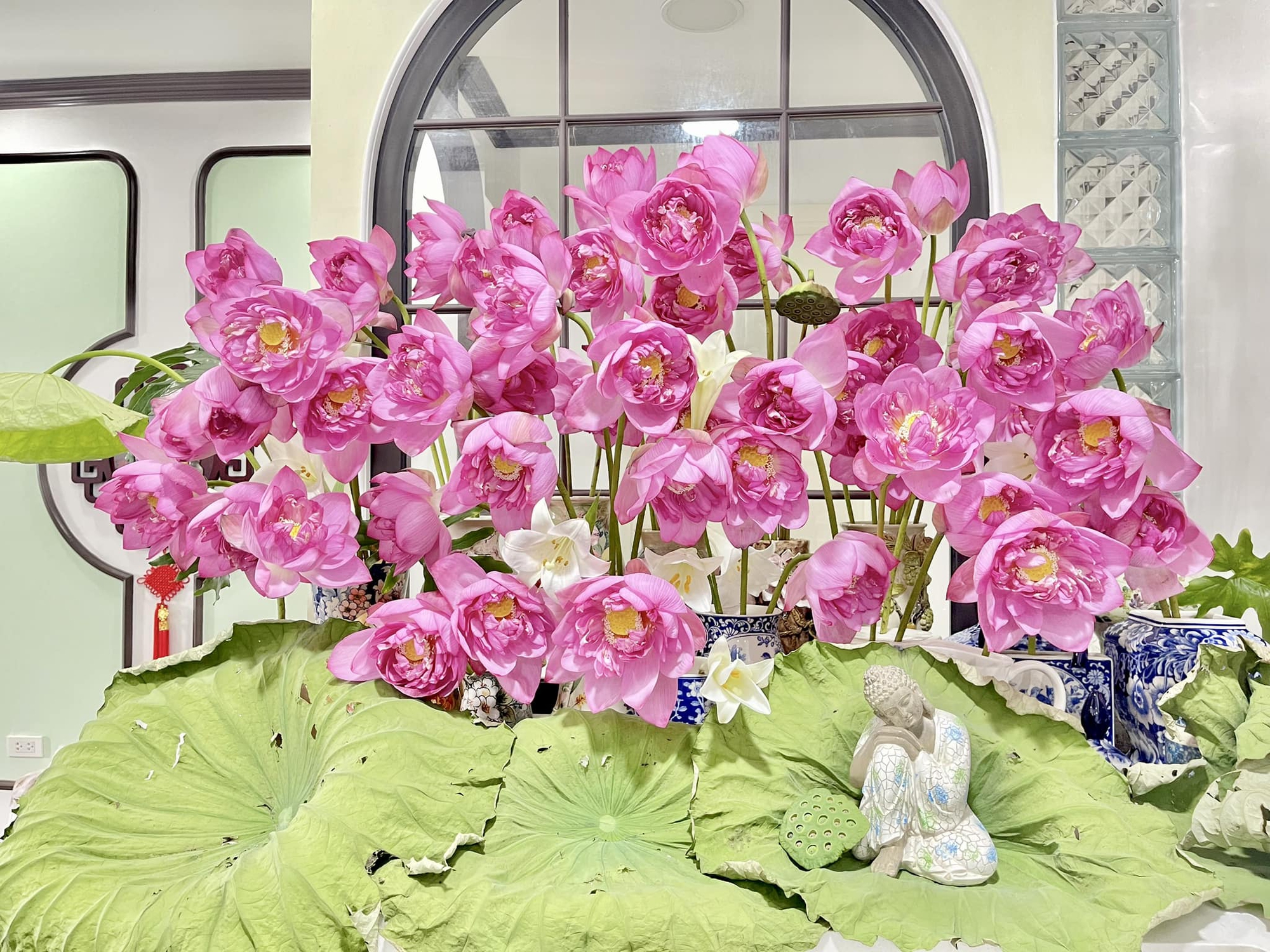 Chị em khoe bình sen đầu mùa: Người chơi sen vàng lạ mắt, người biến 150 bông hoa thành "đầm sen" siêu đẹp trong nhà- Ảnh 22.