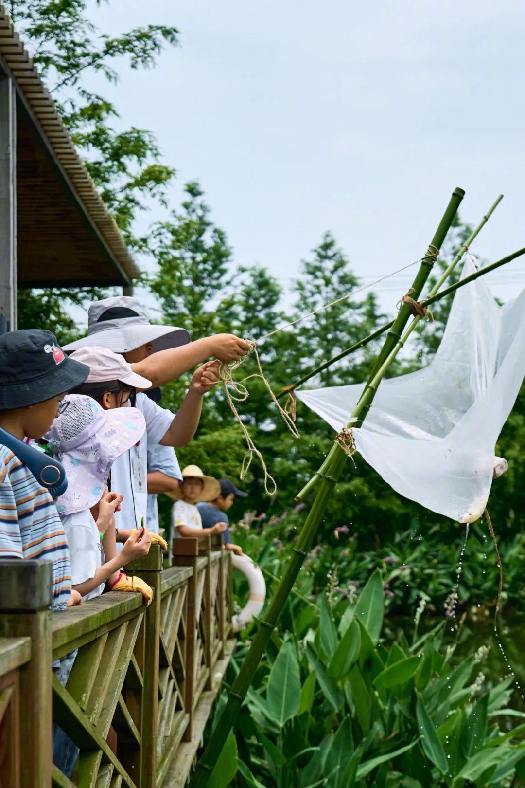 Cặp vợ chồng về quê mua đất làm trang trại: 