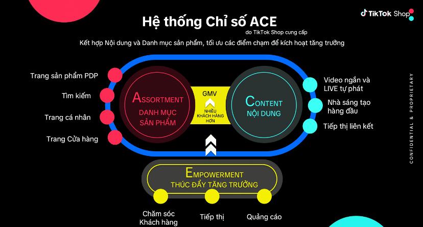 Thương hiệu đầu tư vào TikTok tăng nhanh từ Hệ thống chỉ số ACE- Ảnh 1.