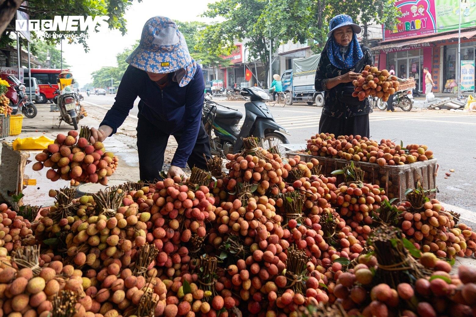 Thủ phủ vải thiều Lục Ngạn mất mùa, giá tăng gấp rưỡi- Ảnh 5.