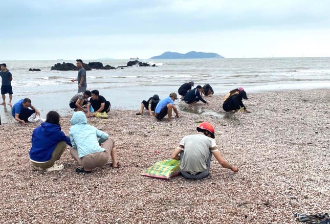 'Lộc biển' dạt vào trắng bờ cát, người dân đua nhau nhặt về ăn- Ảnh 7.