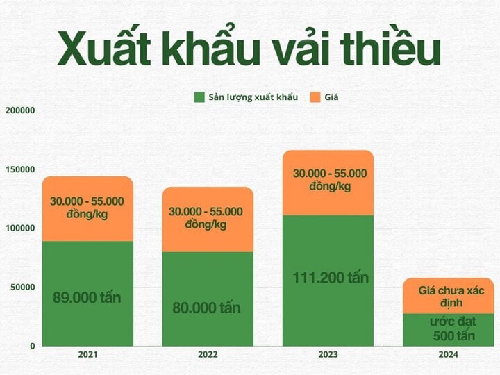 Vải thiều mất mùa, doanh nghiệp giảm sản lượng xuất khẩu- Ảnh 3.