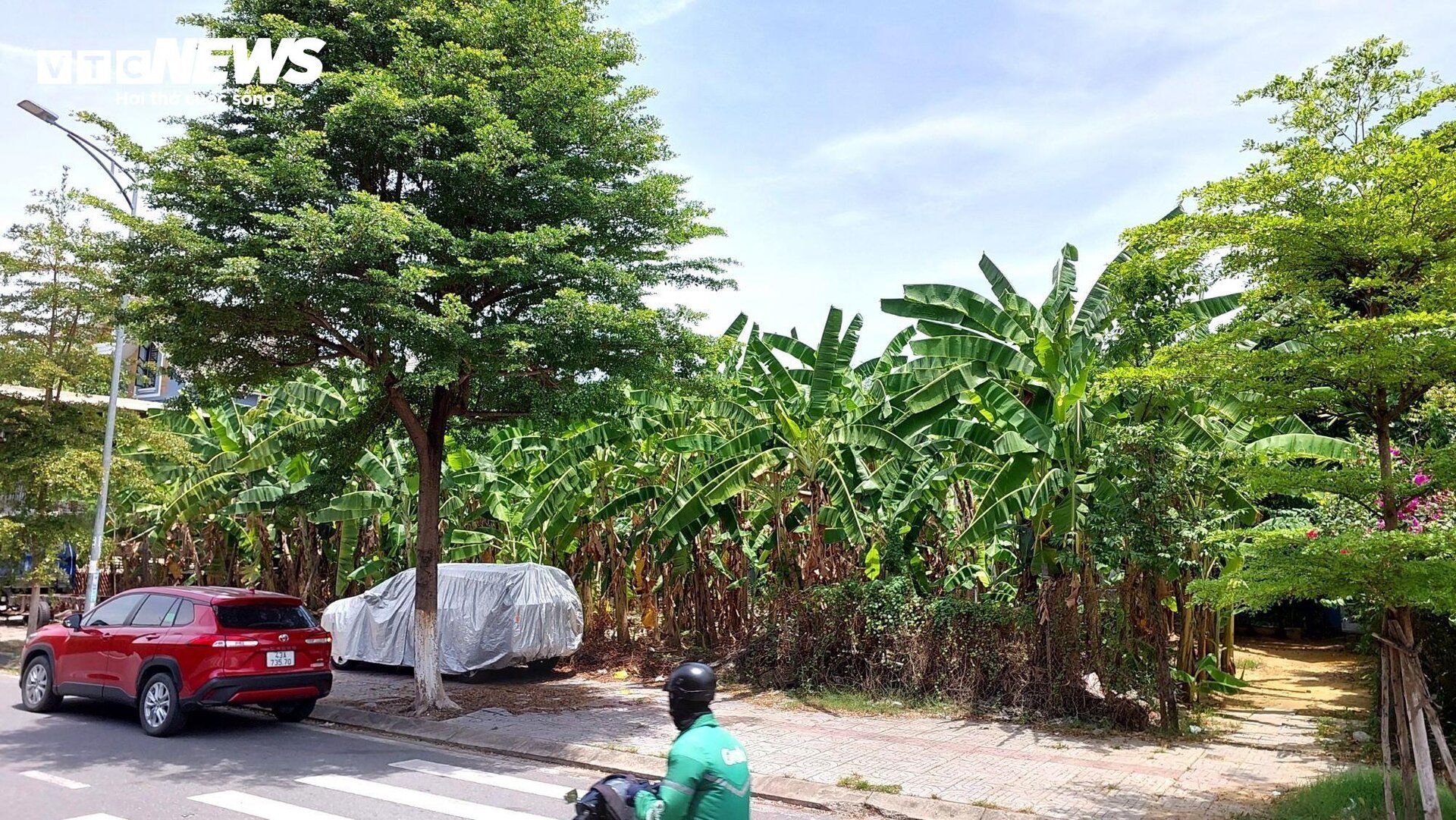 Cận cảnh 7 khu đất vàng dính sai phạm của Công ty CP lương thực Đà Nẵng- Ảnh 5.
