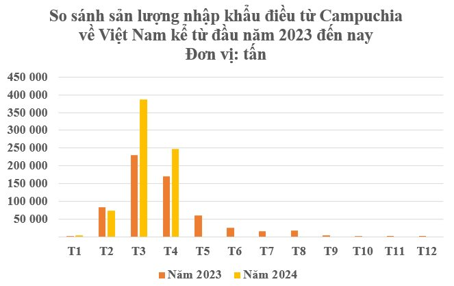 Việt Nam trở thành ‘cứu tinh’ của Campuchia ở mặt hàng cực quan trọng này: Thu mua đến 98% sản lượng, nước ta thống trị thị trường toàn cầu- Ảnh 2.