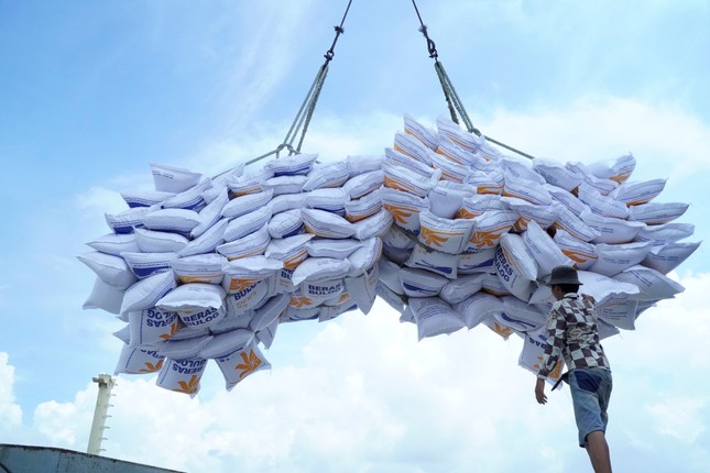 'Ông trùm' lúa gạo phía Nam vừa trúng thầu 100.000 tấn xuất Indonesia- Ảnh 1.