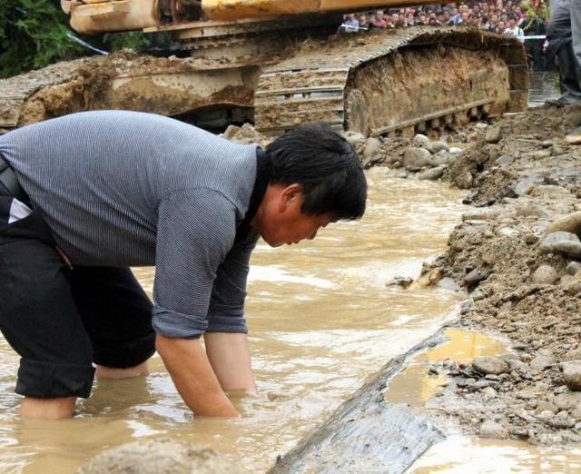 Anh nông dân đào được cây gỗ 