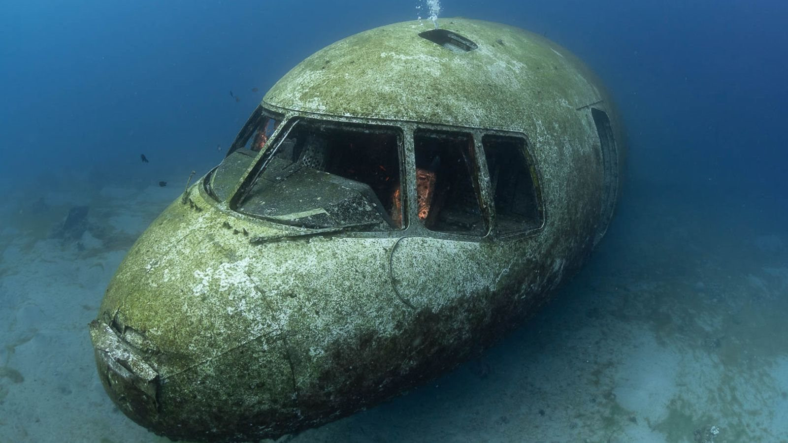 220714103247-05-red-sea-plane-wreck-scuba-divers-1714792623731-1714792625622225255132.jpg