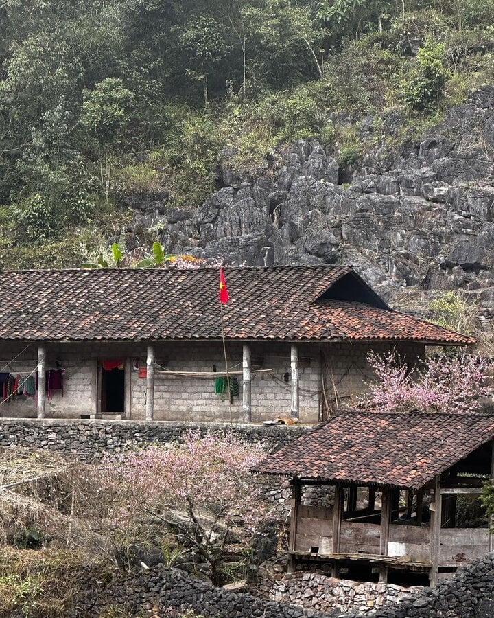 ‘Ngôi làng địa ngục’ ẩn hiện giữa núi đồi Hà Giang: Đẹp mộng mị hớp hồn du khách- Ảnh 3.