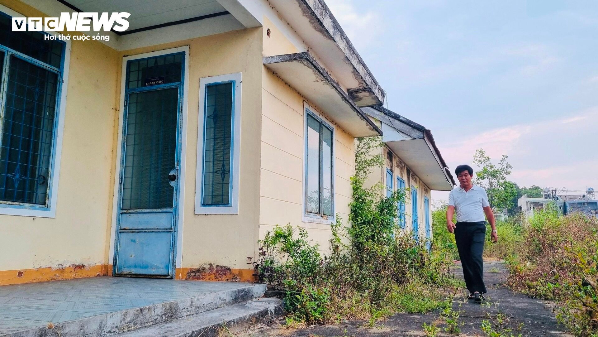 Thảm cảnh ở Cty lâm nghiệp Trà Tân: Giám đốc bị nợ lương 10 năm, trụ sở đổ nát- Ảnh 3.