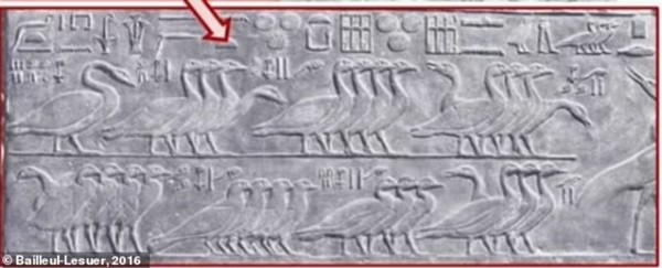 Giải mã “lời nguyền của Pharaoh” khiến 20 người thiệt mạng sau khi vào lăng mộ- Ảnh 3.