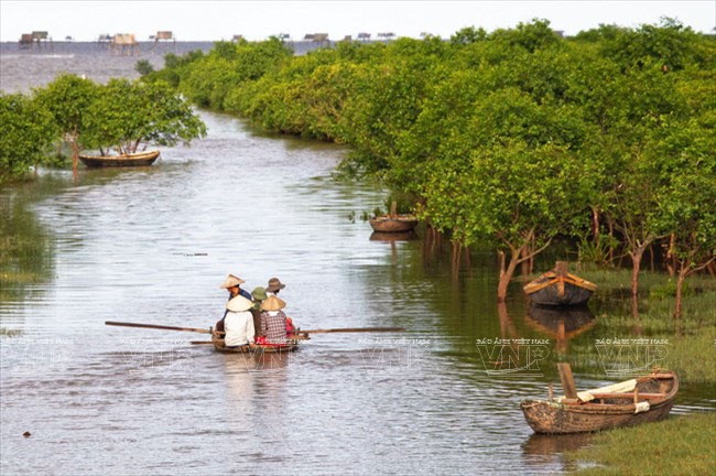 Không cần tốn công ra Hạ Long hay Cát Bà, ngay gần Hà Nội có 1 bãi biển đẹp mê mẩn: Còn nguyên vẻ hoang sơ với nhiều cảnh 