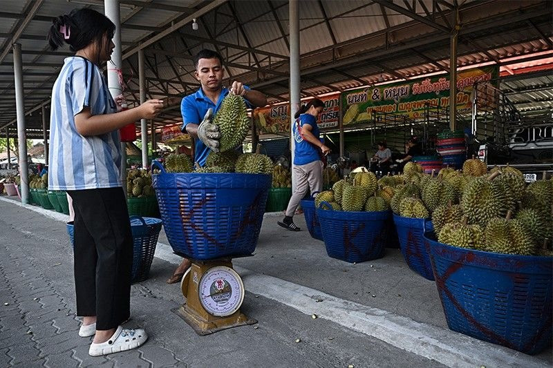 durian-thailand2024-05-0517-02-43-1714961030426-17149610307661603734368.jpg