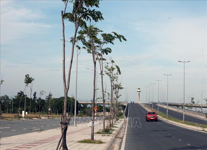 Phú Yên: Rà soát, báo cáo các dự án liên quan đến hai doanh nghiệp Thuận An và Công Minh- Ảnh 2.