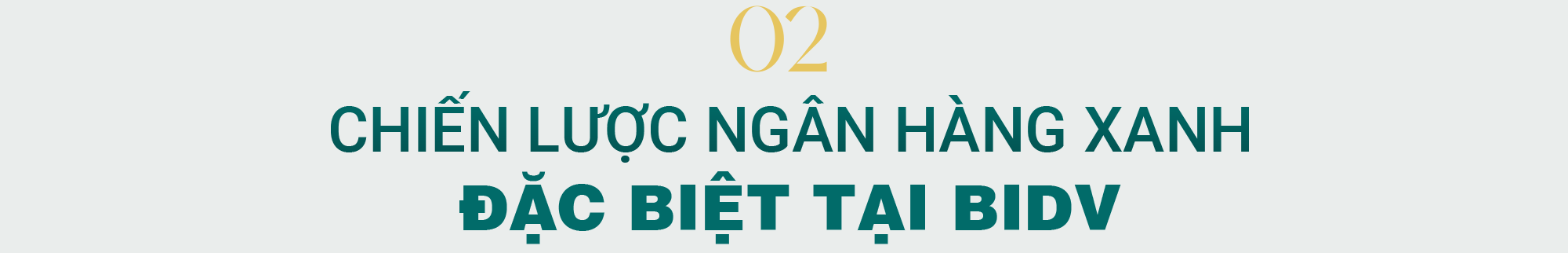 Chiến lược xanh đặc biệt tại ngân hàng lớn nhất Việt Nam- Ảnh 6.