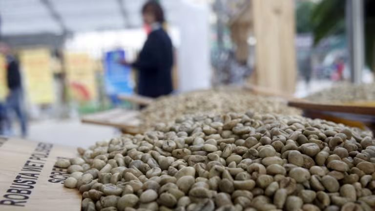 Nikkei: Giá cà phê toàn cầu lập đỉnh vì nông dân Việt Nam làm điều này- Ảnh 3.