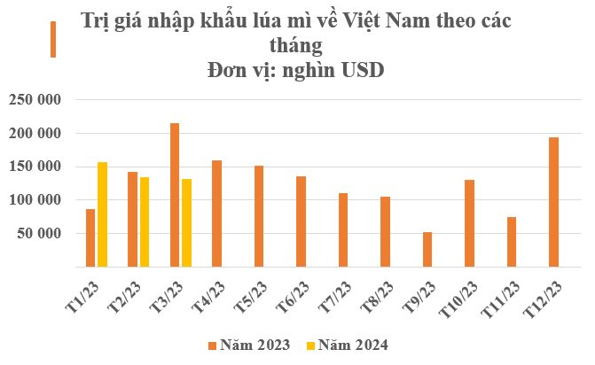Đua với Nga, một quốc gia đưa báu vật giá rẻ đến Việt Nam: Là ông trùm thứ 5 toàn cầu, nước ta chớp cơ hội vàng nhập hơn 400 triệu USD- Ảnh 2.