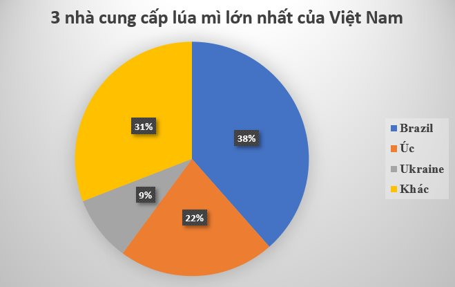 Đua với Nga, một quốc gia đưa báu vật giá rẻ đến Việt Nam: Là ông trùm thứ 5 toàn cầu, nước ta chớp cơ hội vàng nhập hơn 400 triệu USD- Ảnh 3.