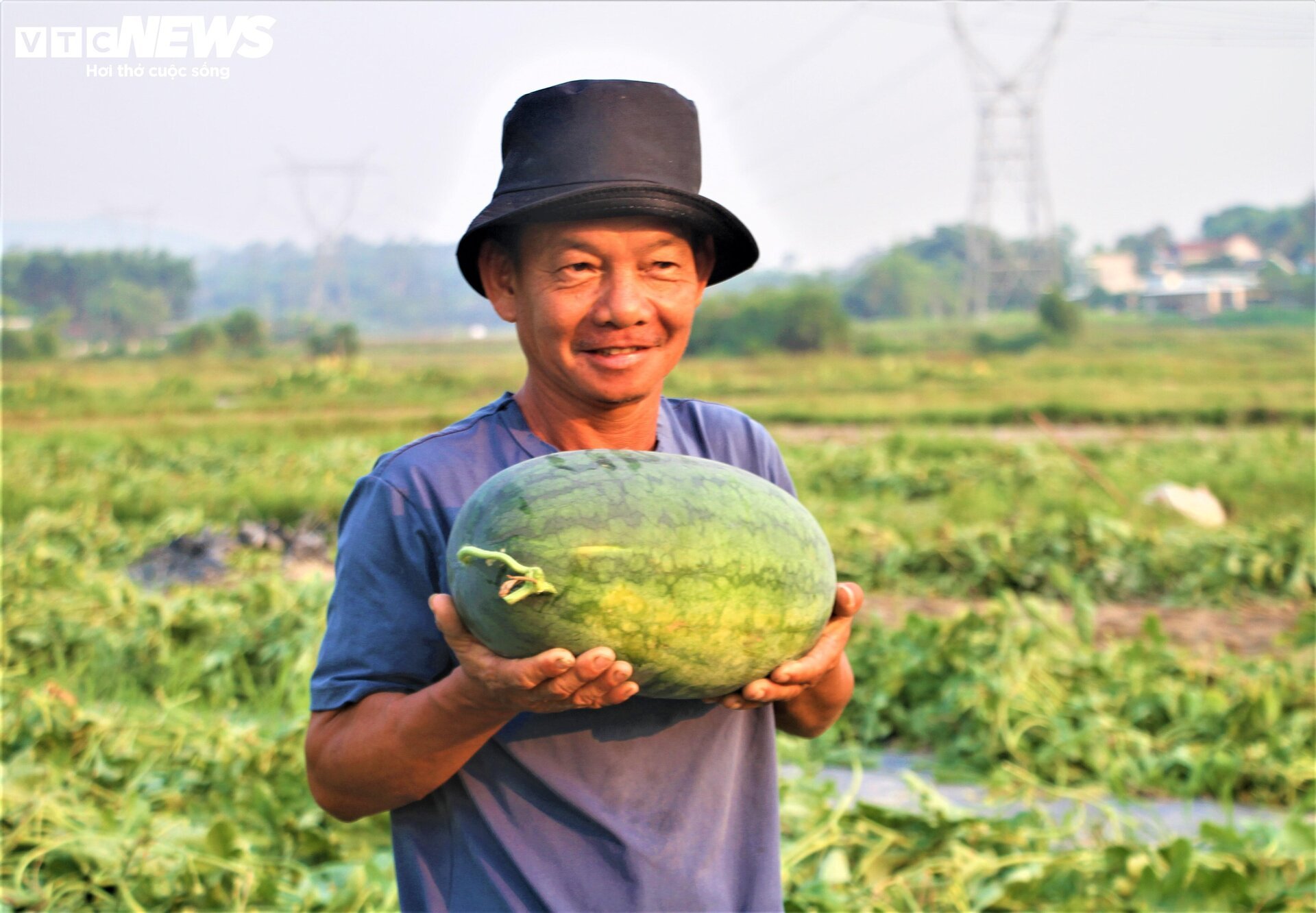 Nông dân 'thủ phủ' dưa hấu ở Quảng Nam thắng lớn nhờ được mùa, được giá- Ảnh 2.