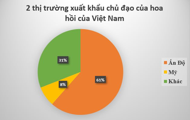 Loại hoa trồng 1 lần thu hoạch 80 năm này được Ấn Độ cực kỳ yêu thích: Việt Nam xuất gần 4.000 tấn từ đầu năm- Ảnh 3.