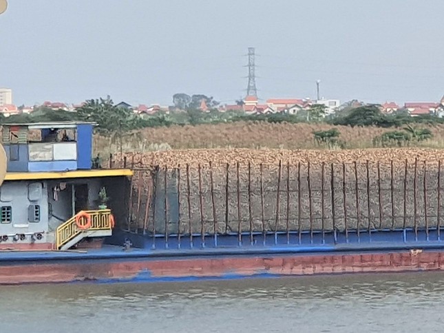 Vụ trục lợi hoàn thuế 'khủng': Lãnh đạo doanh nghiệp lĩnh án, cán bộ thuế 'thoát' trách nhiệm- Ảnh 1.