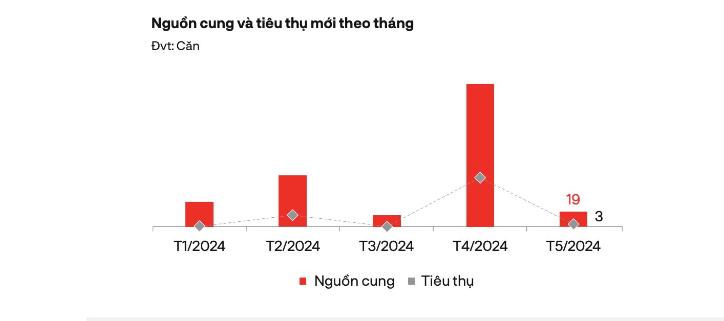 3 căn nhà phố có chủ “gánh” cả thị trường thấp tầng phía Nam trong tháng 5- Ảnh 1.