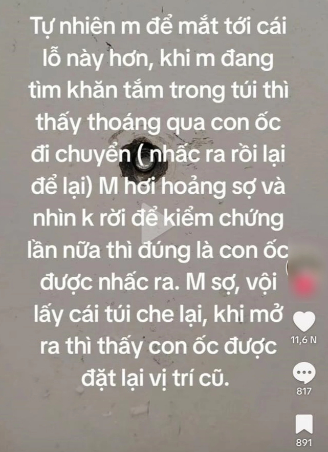 Chiếc đinh ốc biết 