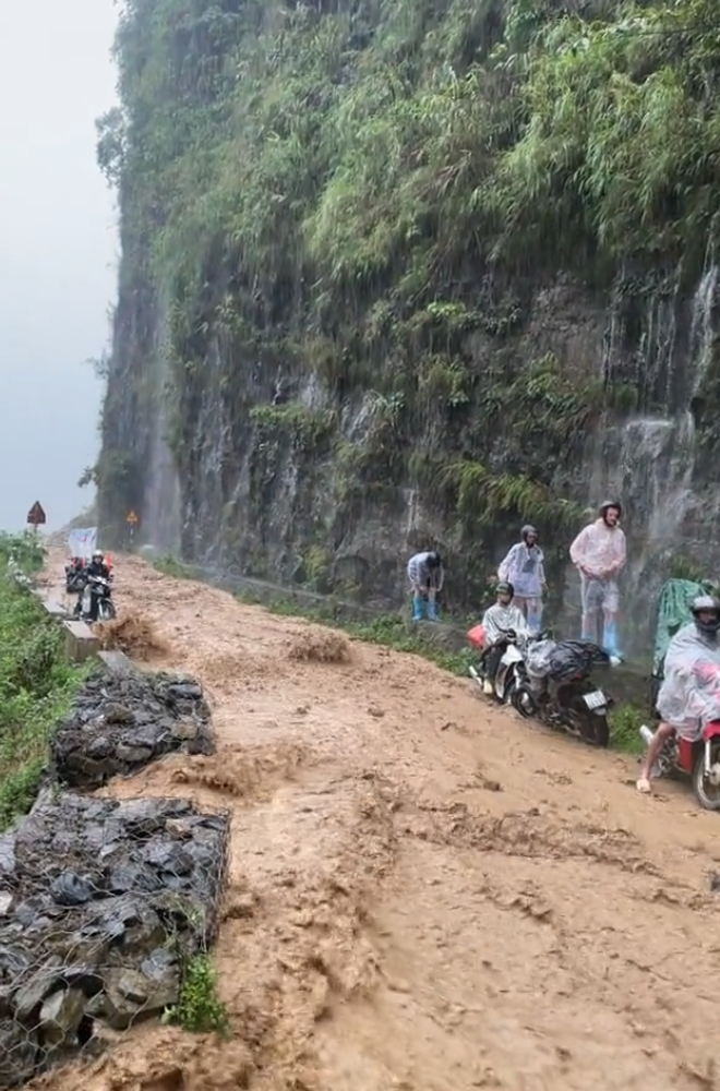 Hàng loạt du khách 