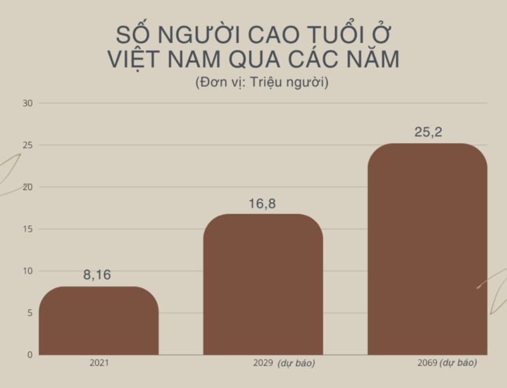 Nền kinh tế bạc, thị trường tỷ đô đang bị bỏ ngỏ ở Việt Nam- Ảnh 10.