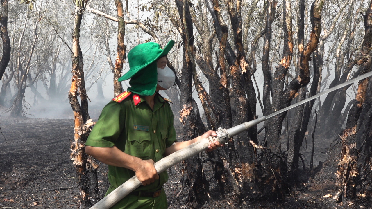 Huy động 200 người dập lửa vụ cháy Vườn Quốc gia Tràm Chim- Ảnh 7.