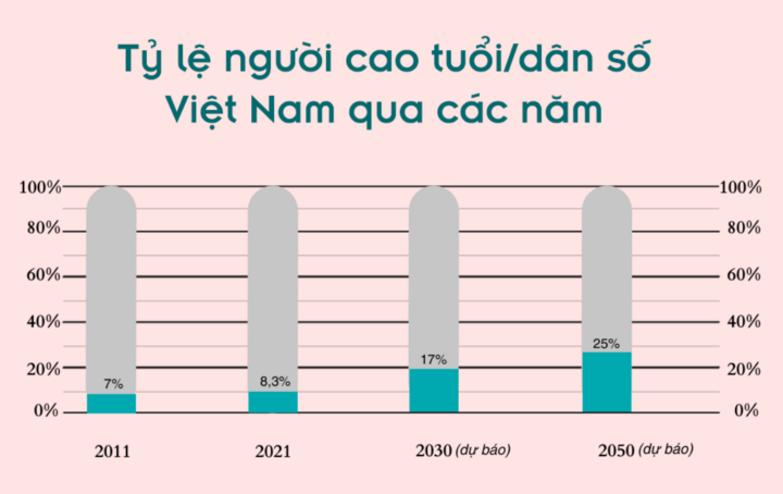 Nền kinh tế bạc, thị trường tỷ đô đang bị bỏ ngỏ ở Việt Nam- Ảnh 9.