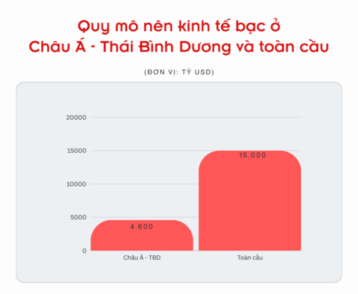 Nền kinh tế bạc, thị trường tỷ đô đang bị bỏ ngỏ ở Việt Nam- Ảnh 3.