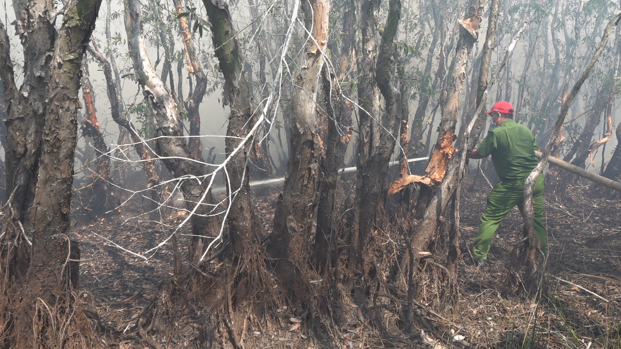 Huy động 200 người dập lửa vụ cháy Vườn Quốc gia Tràm Chim- Ảnh 8.