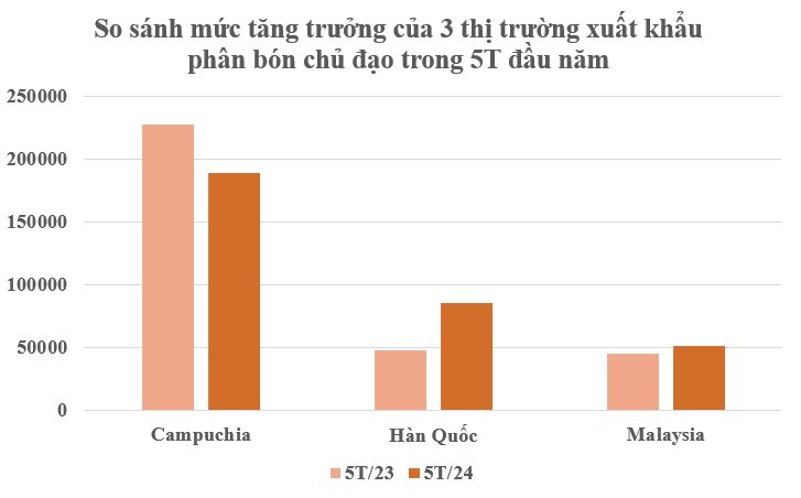 Thay thế Trung Quốc, một mặt hàng của Việt Nam bất ngờ lên cơn sốt: Thu gần 300 triệu USD kể từ đầu năm, Campuchia, Hàn Quốc đều mạnh tay săn lùng- Ảnh 3.