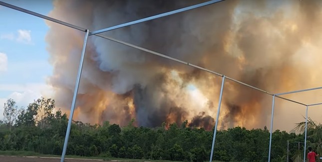 Đang cháy lớn tại Vườn Quốc gia Tràm Chim, hàng trăm người dập lửa- Ảnh 9.
