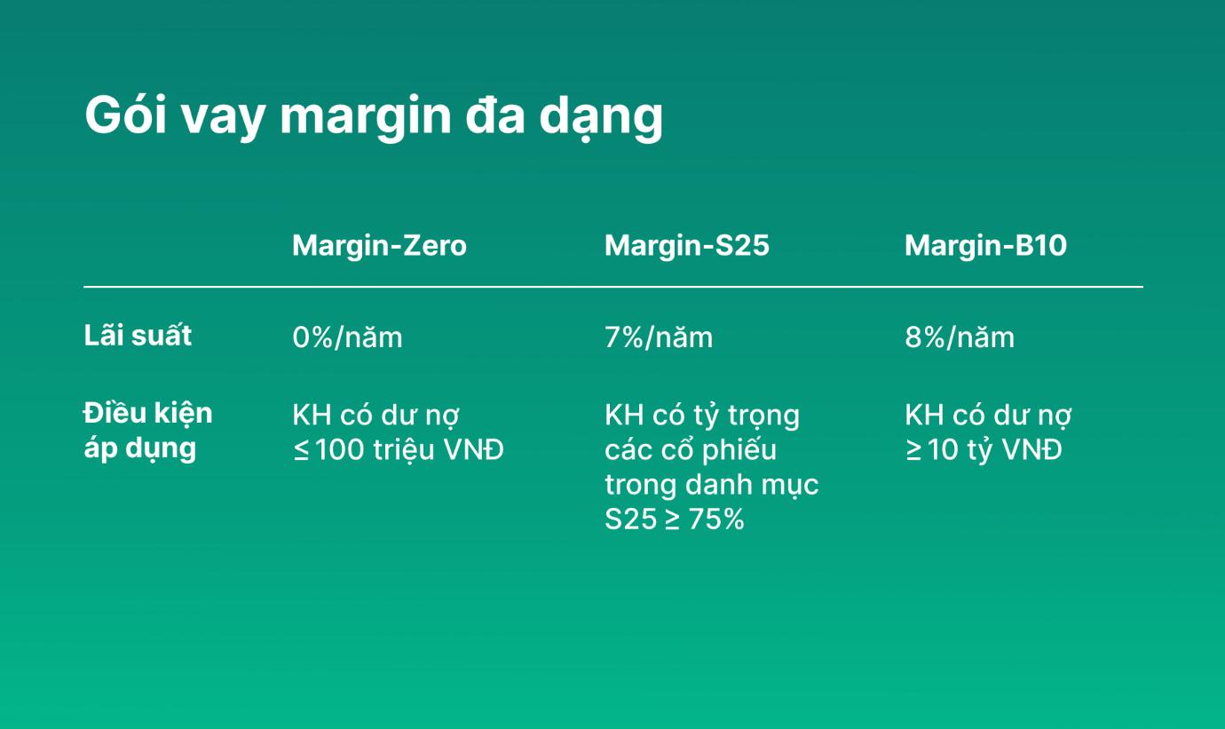 Cơ hội vàng tăng lợi nhuận với Margin-Zero không lãi vay- Ảnh 1.