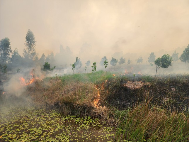 Đang cháy lớn tại Vườn Quốc gia Tràm Chim, hàng trăm người dập lửa- Ảnh 3.